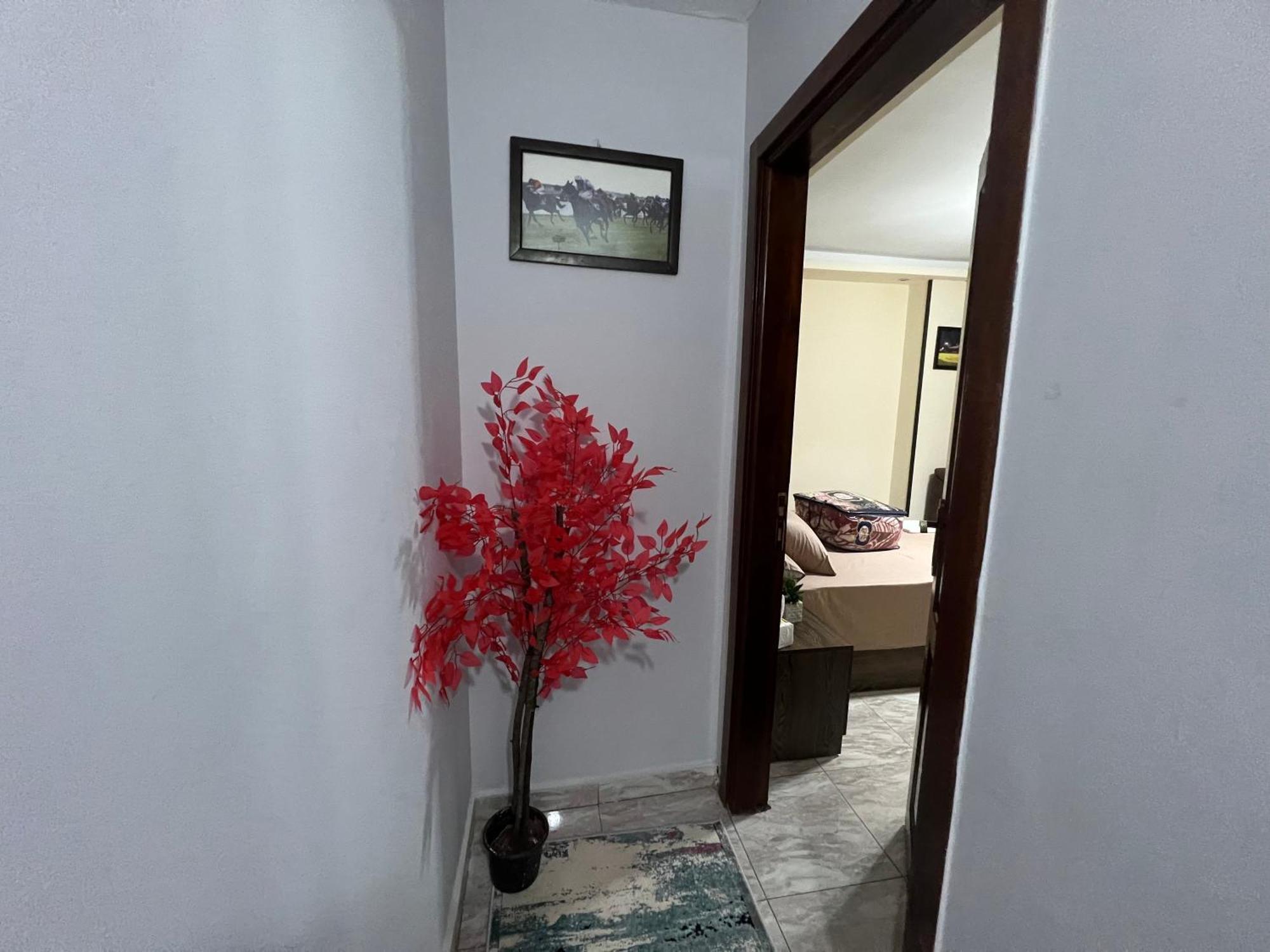 Luxury Downtown Apartment Cairo